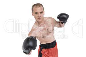Portrait of boxer performing boxing stance