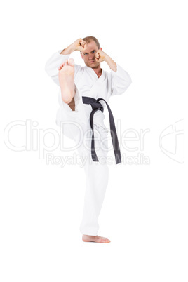 Fighter performing karate stance