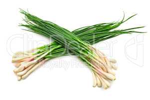 leaves of green onions