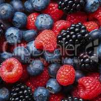 Assortment of berries