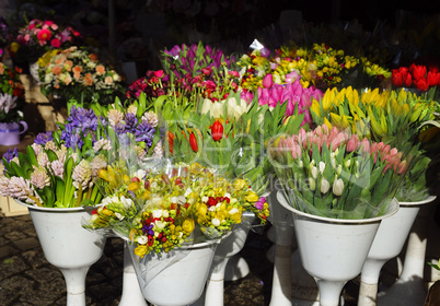 The offer at a flower shop