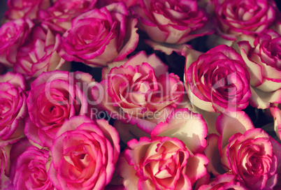 A large bouquet of pink roses