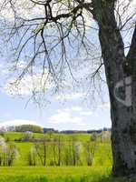 Frühlingslandschaft im Vogelsberg