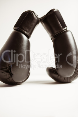 View of boxing gloves