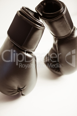 View of boxing gloves