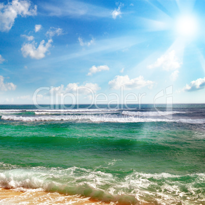 ocean, sandy beach and blue sky