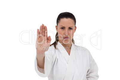 Female fighter performing karate stance