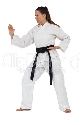 Female fighter performing karate stance