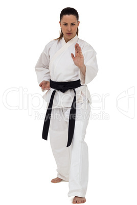 Female fighter performing karate stance