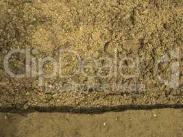 Field soil sepia