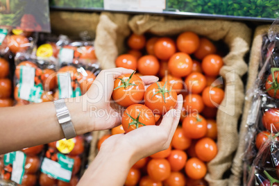 Close up view of hands holding tomatoes