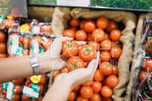 Close up view of hands holding tomatoes
