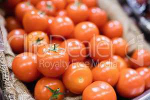 View of tomatoes in shelf