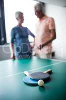 Couple of seniors interacting behind a ping pong table