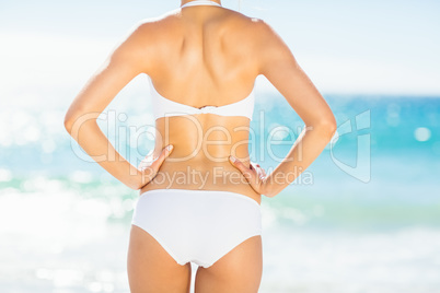 Rear view of fit woman in bikini on beach