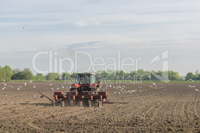 Red tractor ploughing on the arable land