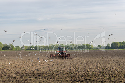 Red tractor ploughing on the arable land