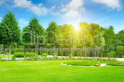 summer park with beautiful flowerbeds