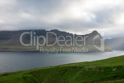 Landscape on the Faroe Islands as seen from Vidareidi
