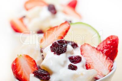 fruit and yogurt salad healthy breakfast