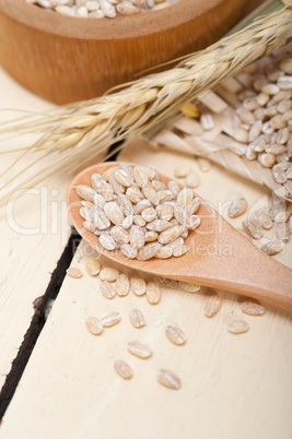 organic barley grains