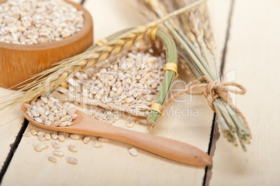 organic barley grains