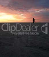 Photo of beach sunset and person