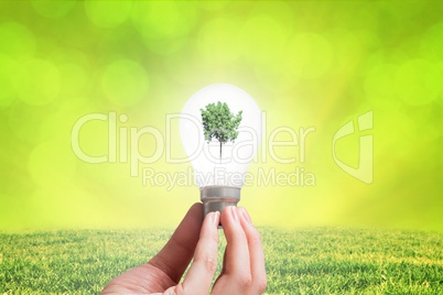 Composite image of woman is holding a bulb with a tree inside