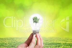 Composite image of woman is holding a bulb with a tree inside