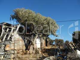 Verfallenes Haus auf Kreta