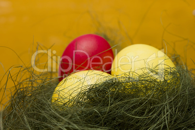 Easter colored eggs