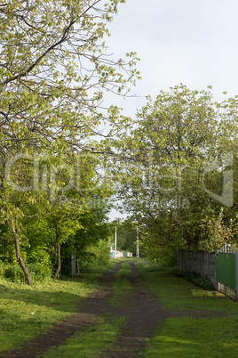 Road unpaved village