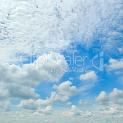 blue sky and white cumulus clouds