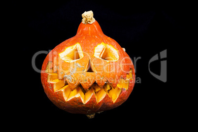 Scary Pumpkin Halloween
