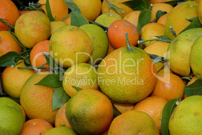 Mandarinen auf einem Markt