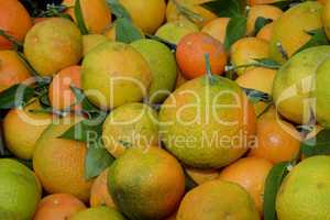 Mandarinen auf einem Markt