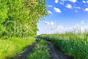 The road along the field