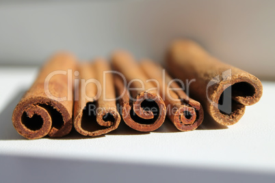 cinnamon sticks from the end, daylight