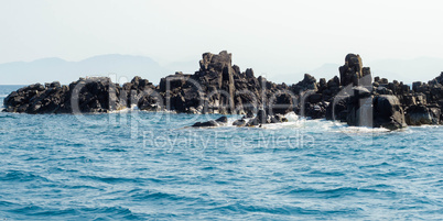 Rocky shore