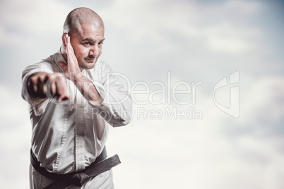 Composite image of fighter performing karate stance