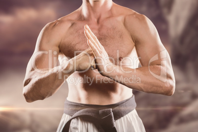 Composite image of fighter performing hand salute