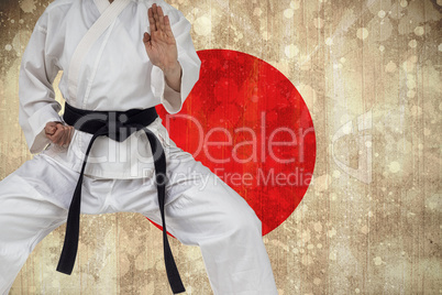 Composite image of fighter performing karate stance