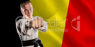 Composite image of fighter performing karate stance