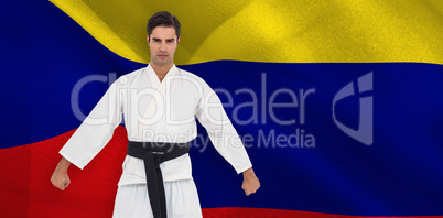 Composite image of male karate player posing on white background