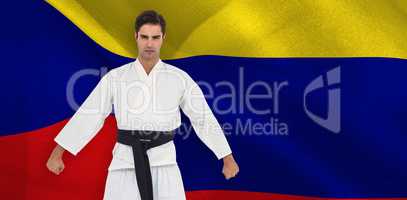 Composite image of male karate player posing on white background
