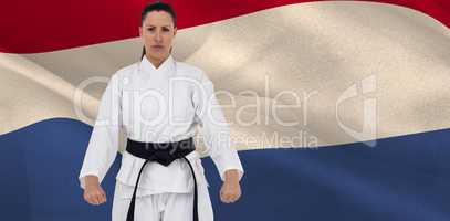 Composite image of female karate player posing on white backgrou