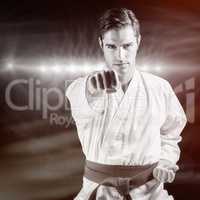 Composite image of portrait of fighter performing karate stance