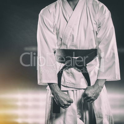 Composite image of fighter performing karate stance