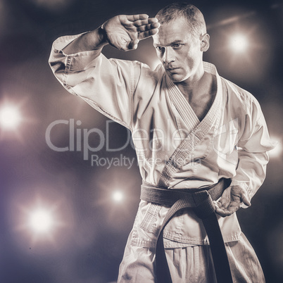 Composite image of fighter performing karate stance