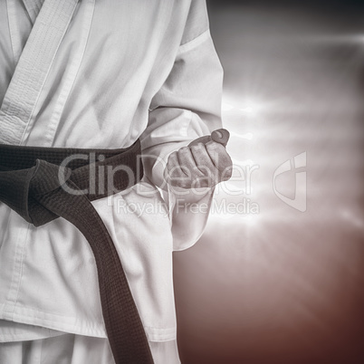 Composite image of female athlete posing in kimono